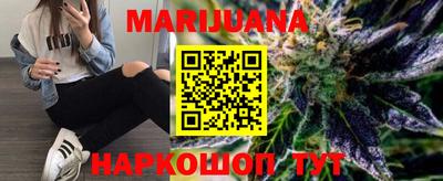 сатива Новозыбков