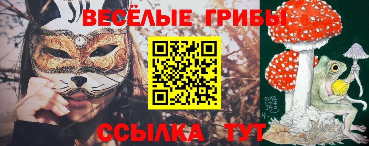 Северск  Псилоцибиновые грибы мухоморы  Псилоцибиновые грибы Psilocybe  Вход с VPN 